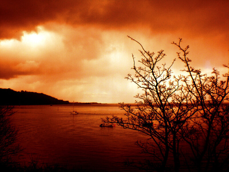 Sailboat on Water — Orange, Dramatic, Sunset, Photograph, Tree
