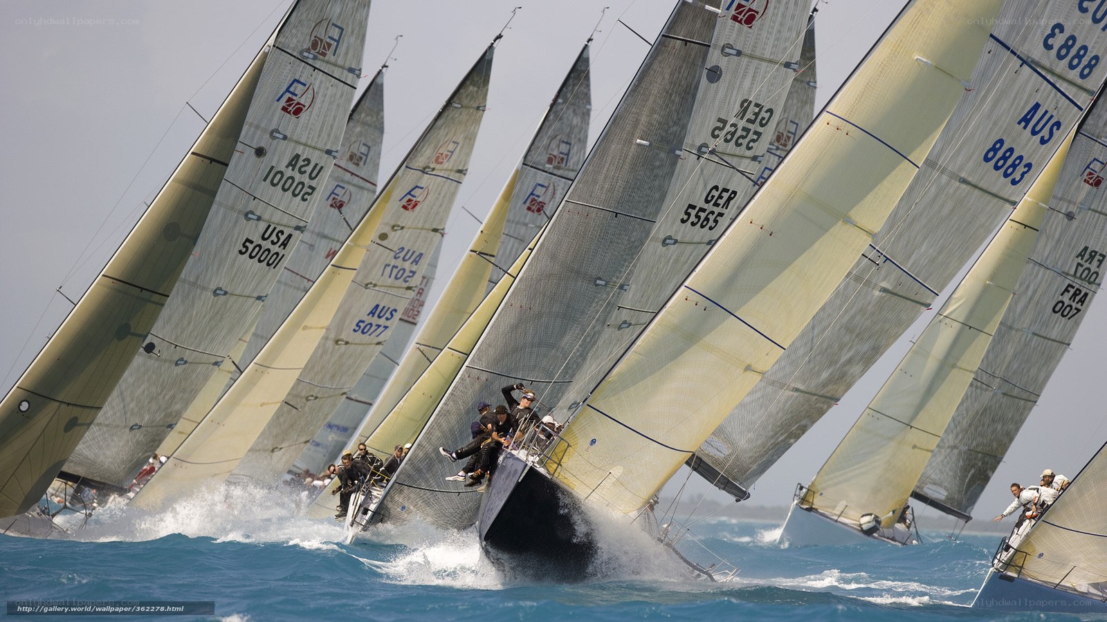 Sailboat race on the ocean