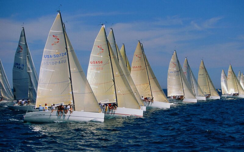 Sailboat race on the open sea