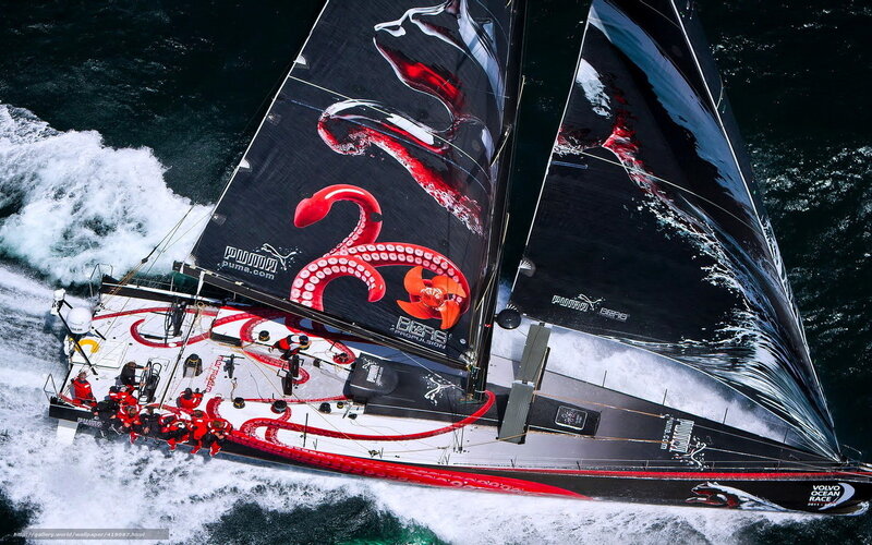 Sailboat racing in action