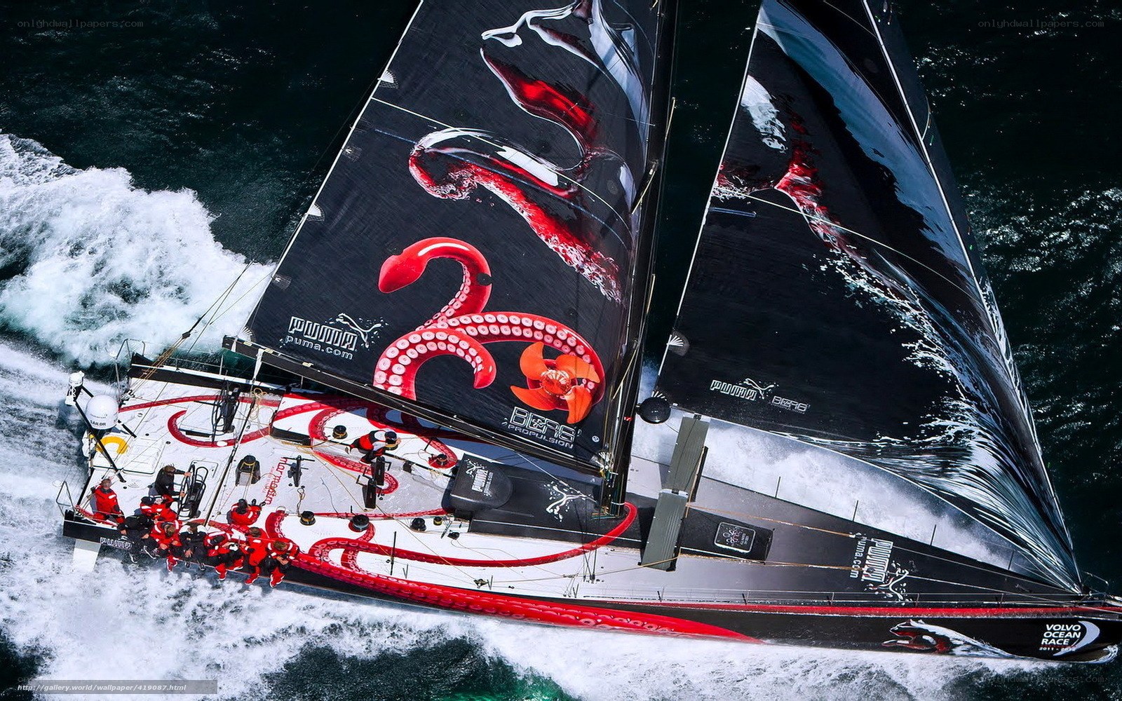 Sailboat racing in action