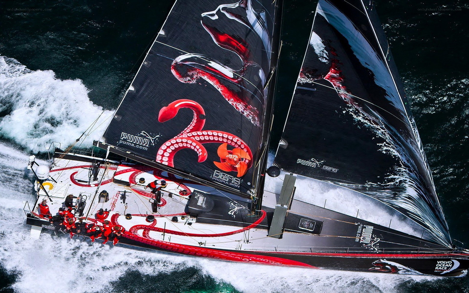 sailboat racing in rough seas