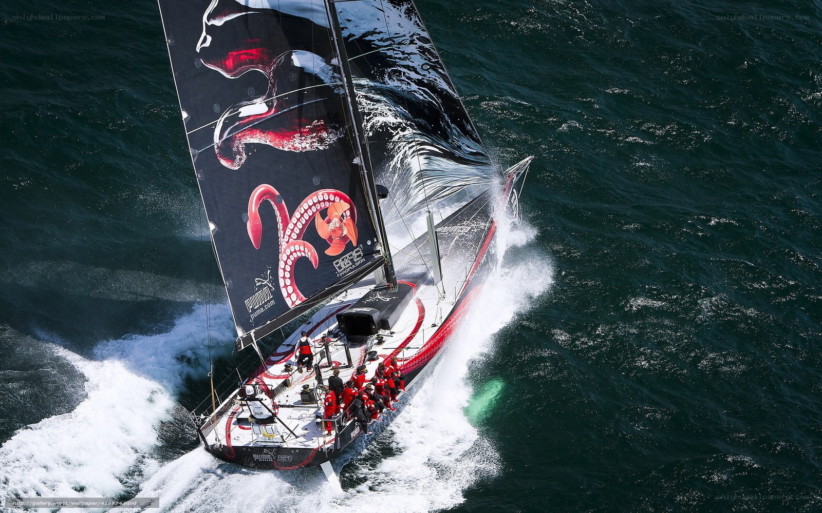 Sailboat racing on open sea