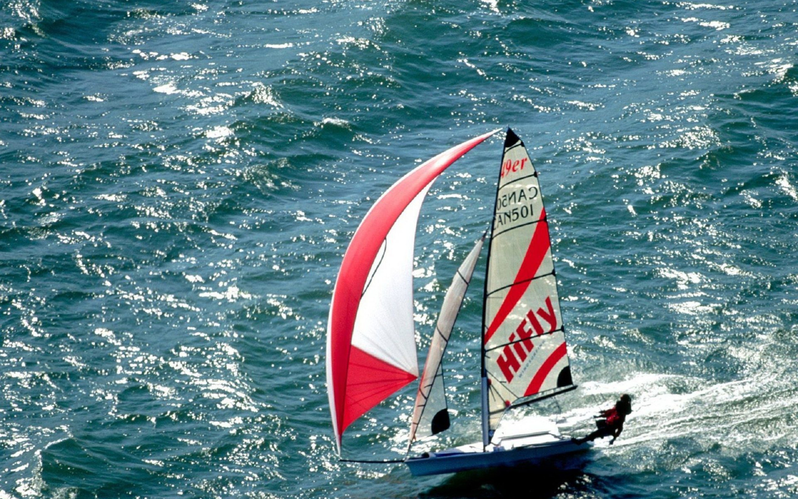 sailboat racing on open water