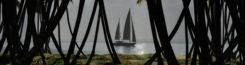 sailboat through palm trees