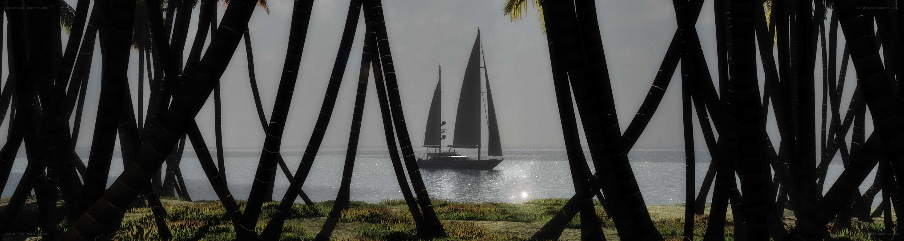 sailboat through palm trees