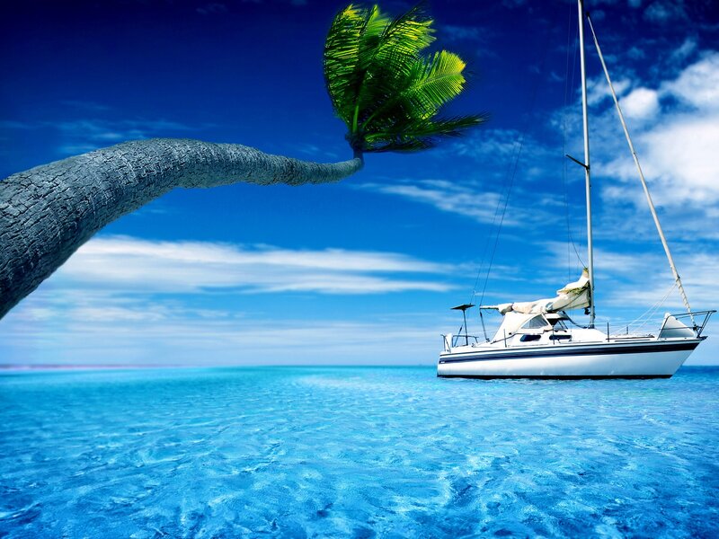 Sailboat under palm tree