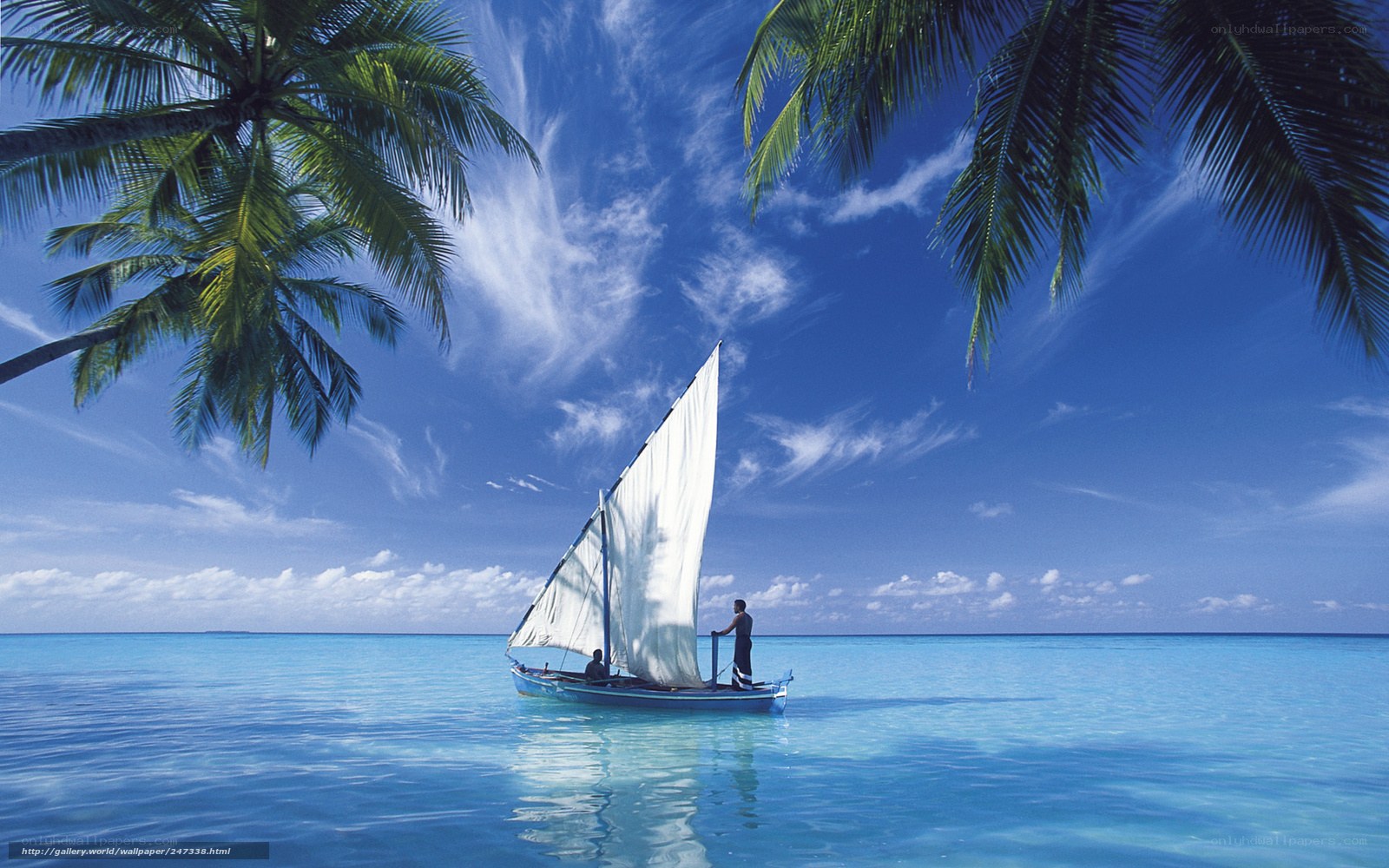 Sailboat under palm trees