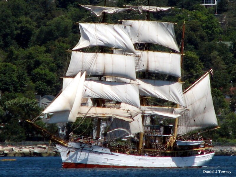 sailboat with white sails