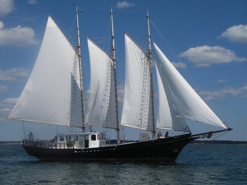 sailboat with white sails