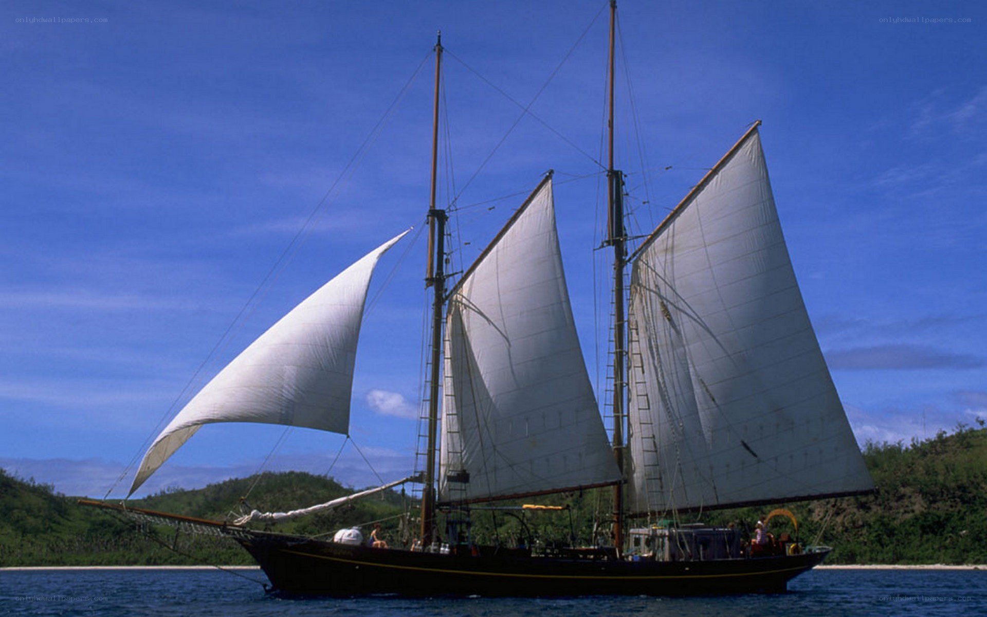 Sailboat with white sails