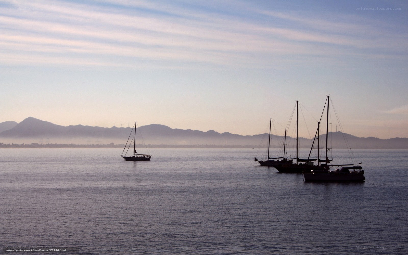 Sailboats at dawn on calm water