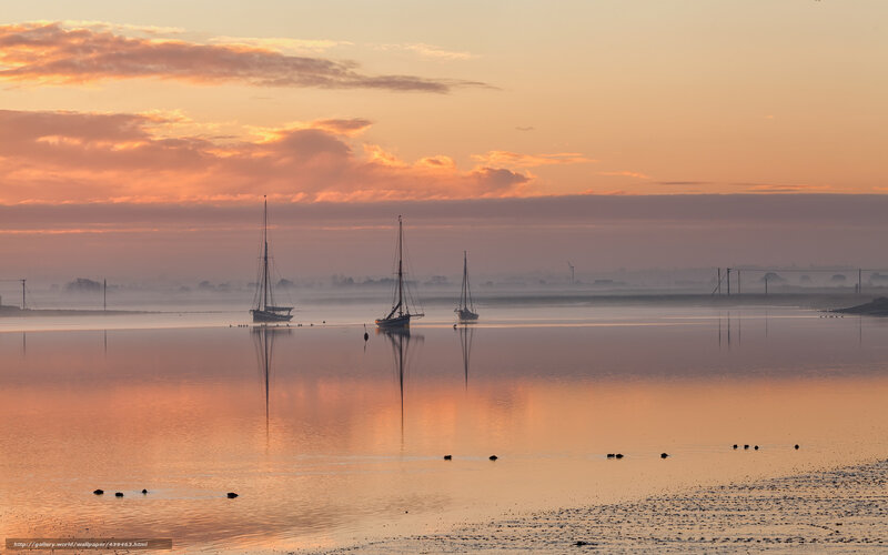 Sailboats at sunrise on calm water