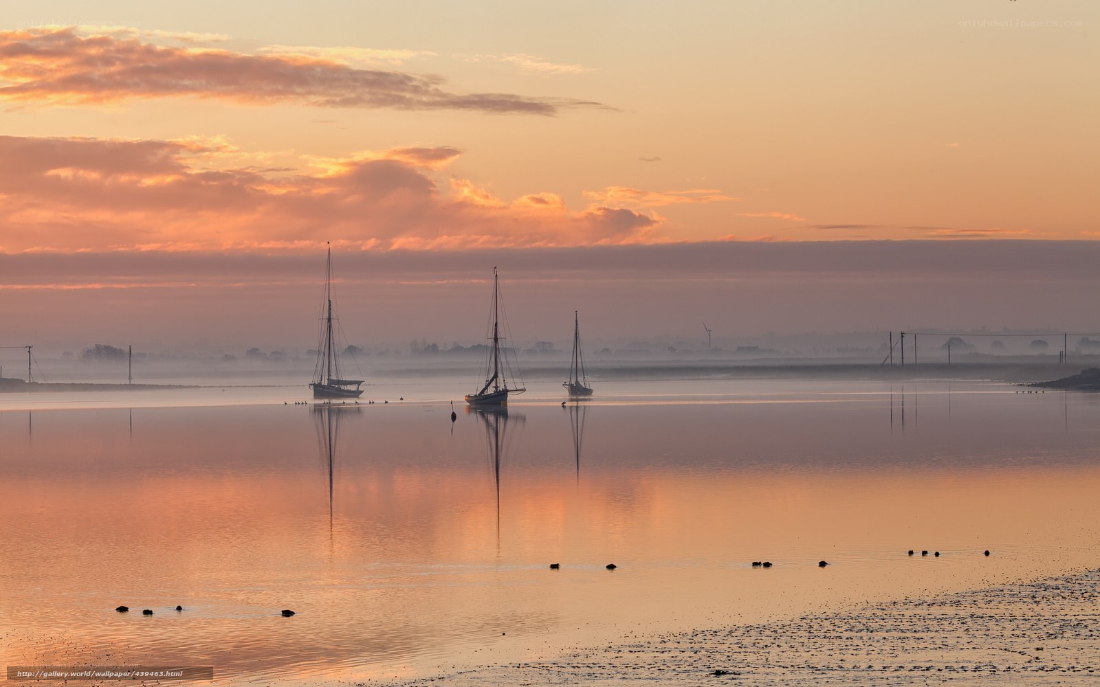 Sailboats at sunrise on calm water