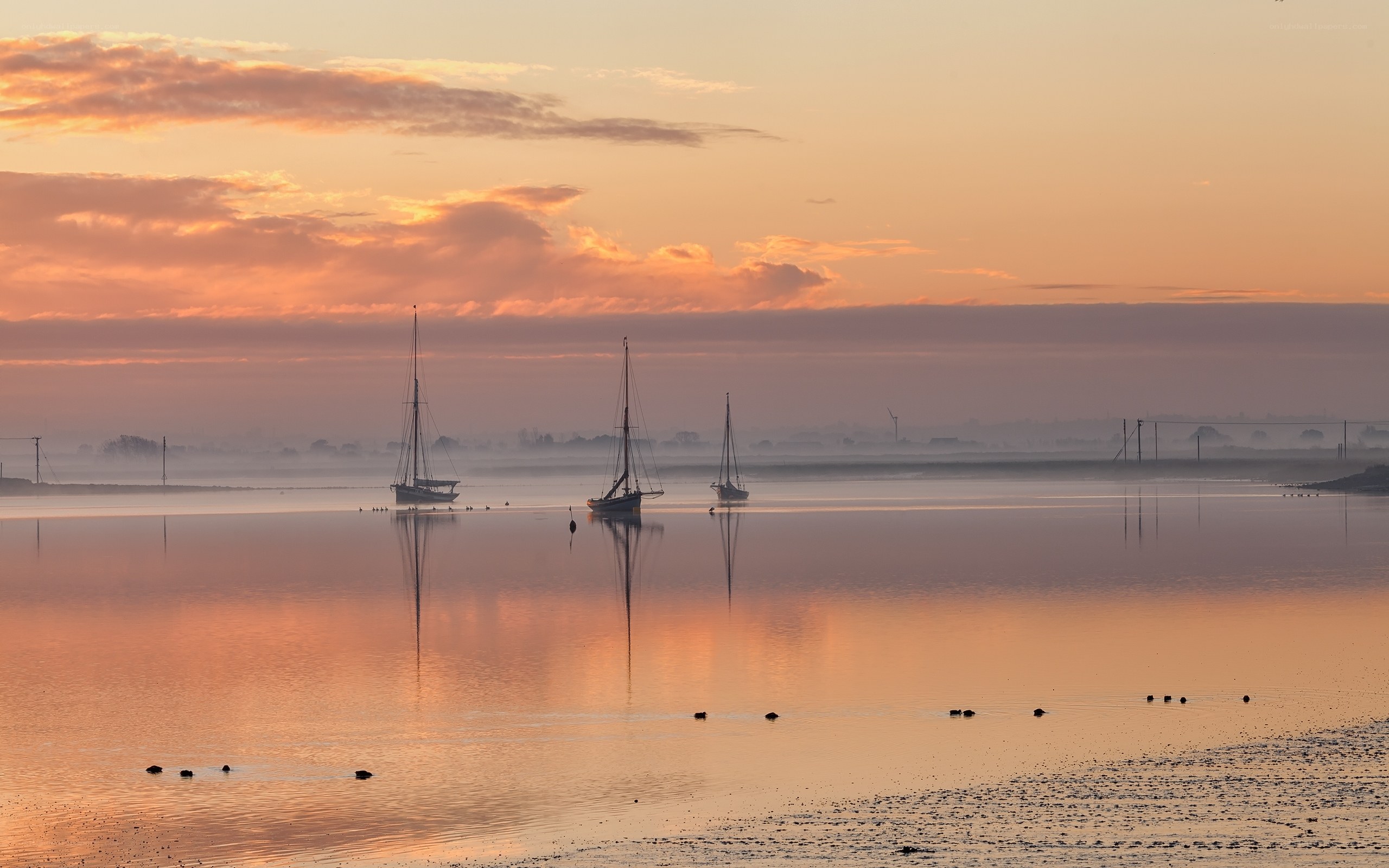 Sailboats at sunrise on calm water