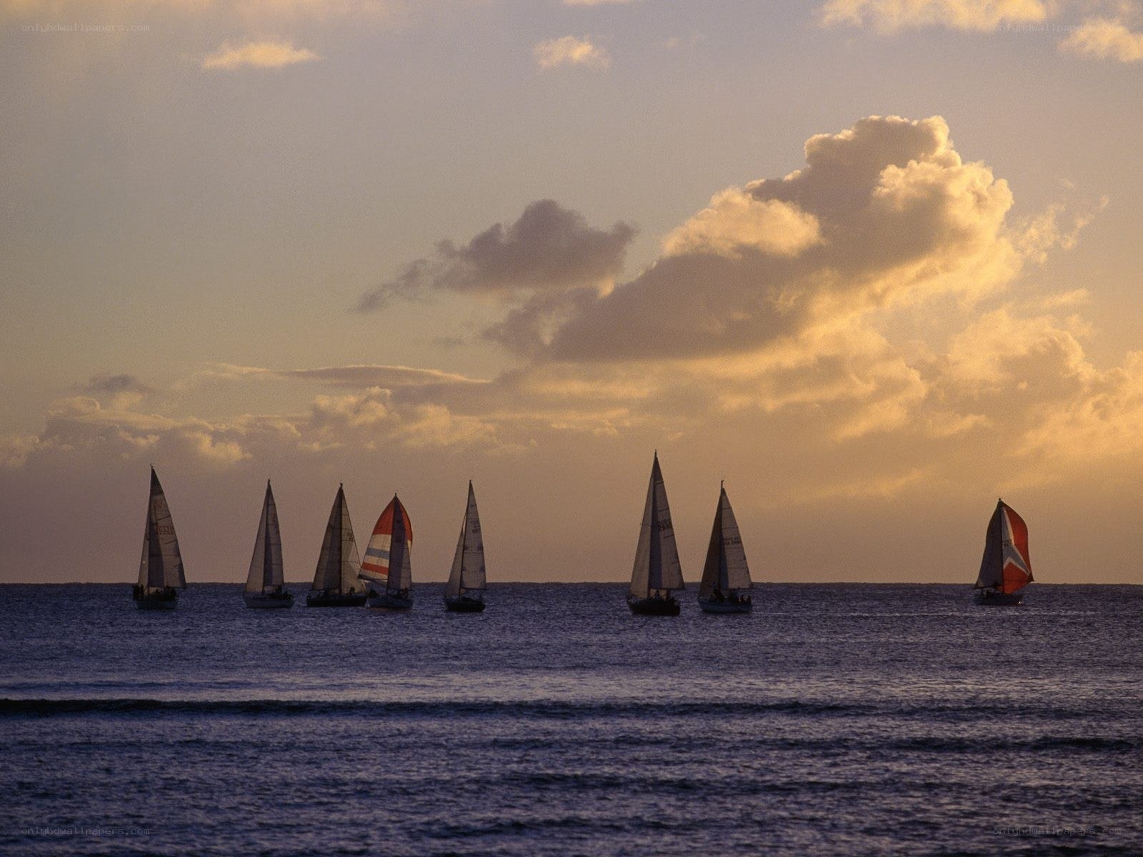 Sailboats at sunset