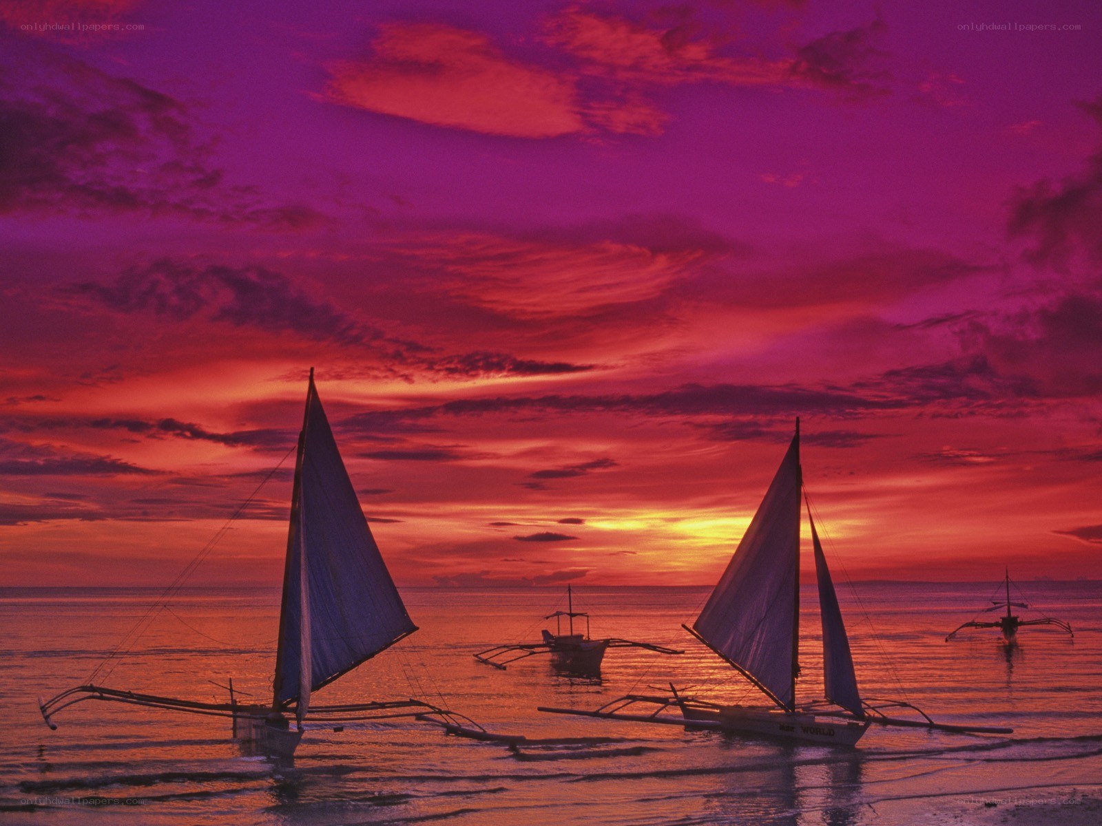 Sailboats at sunset
