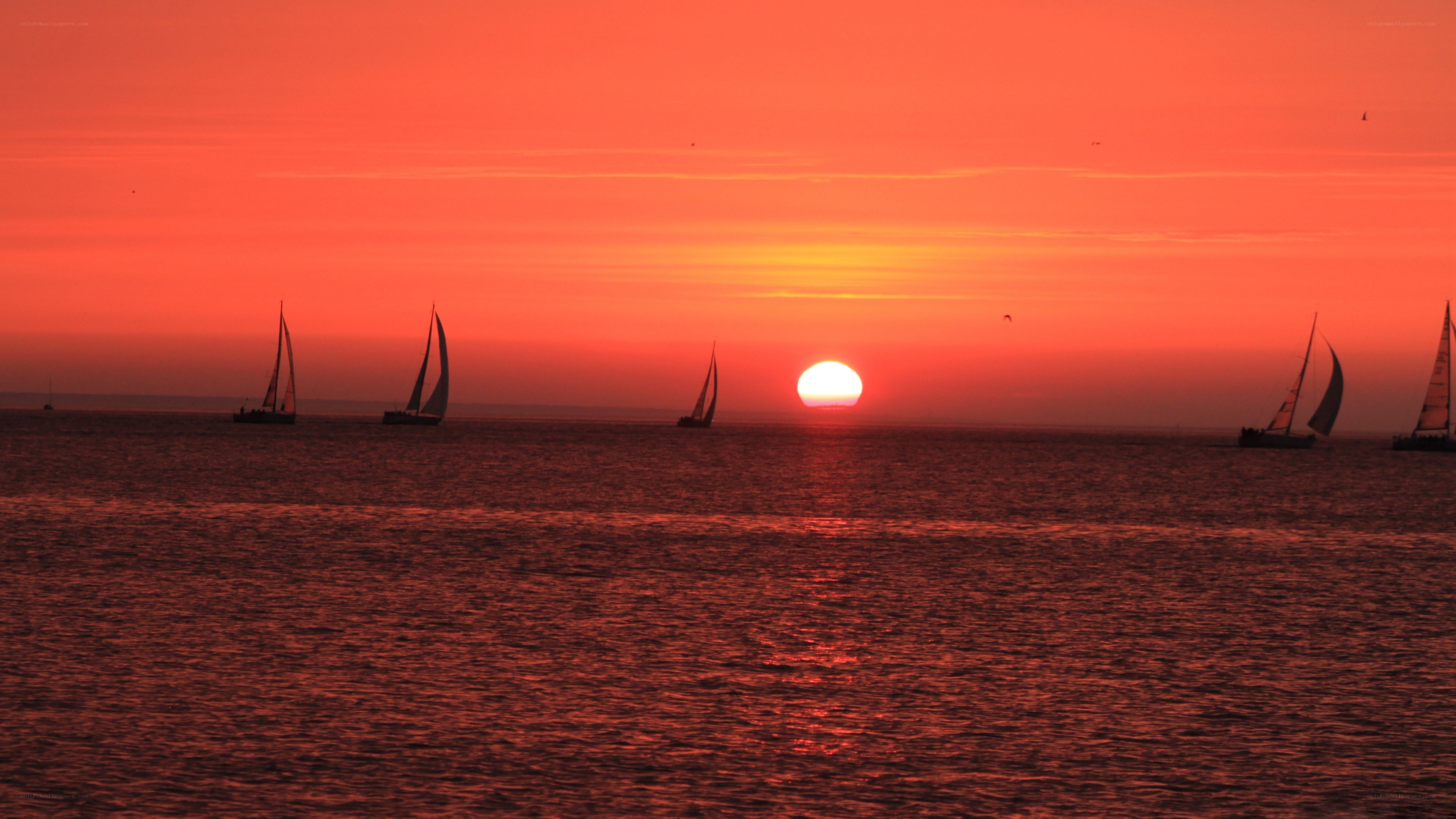 sailboats at sunset