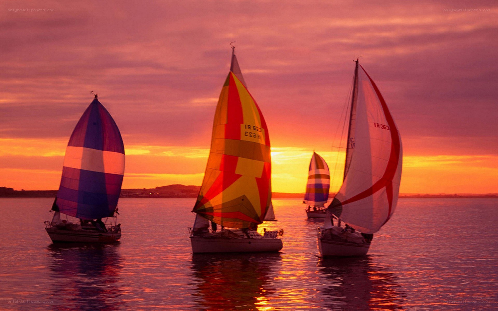Sailboats at sunset