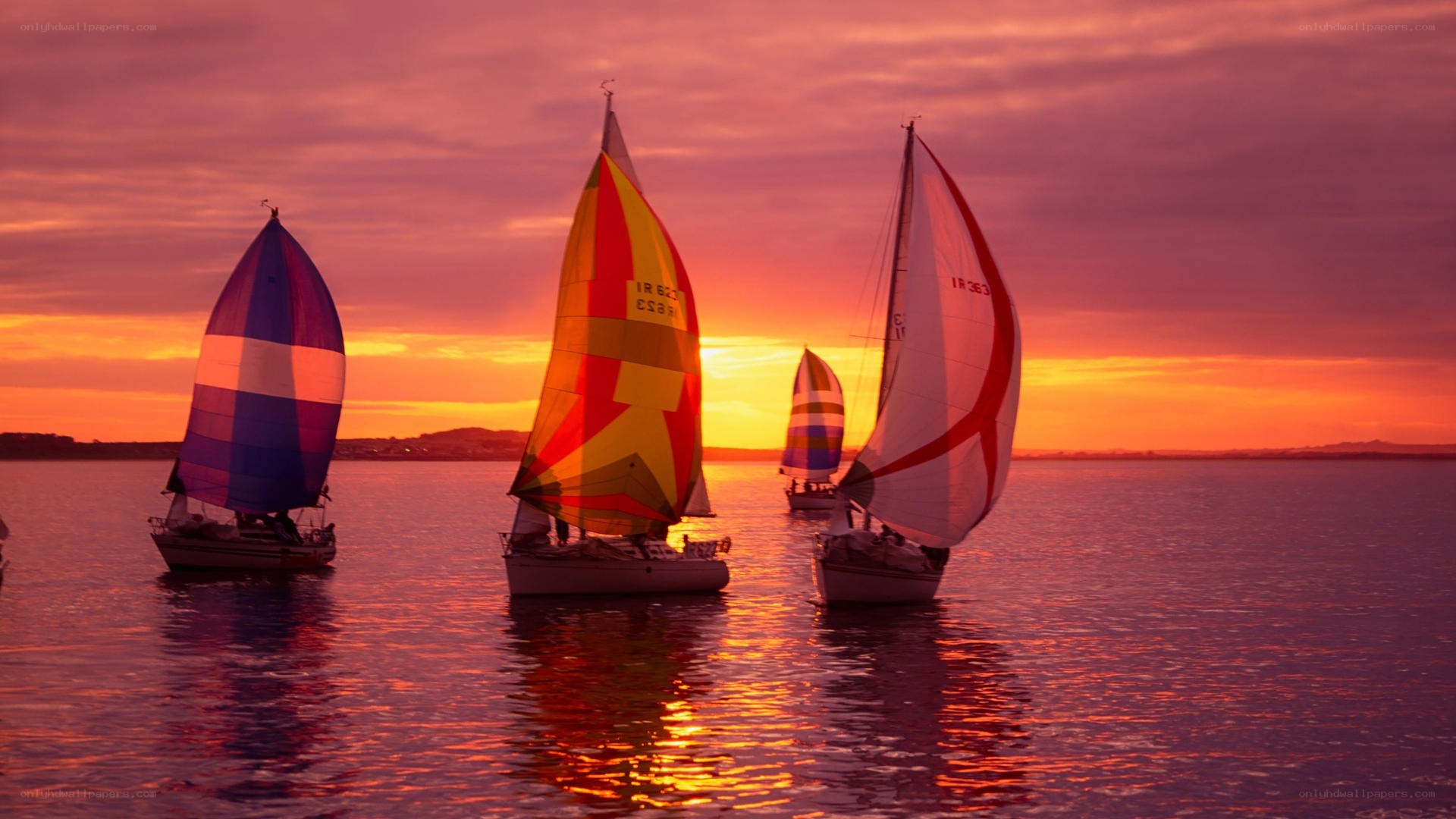 Sailboats at sunset