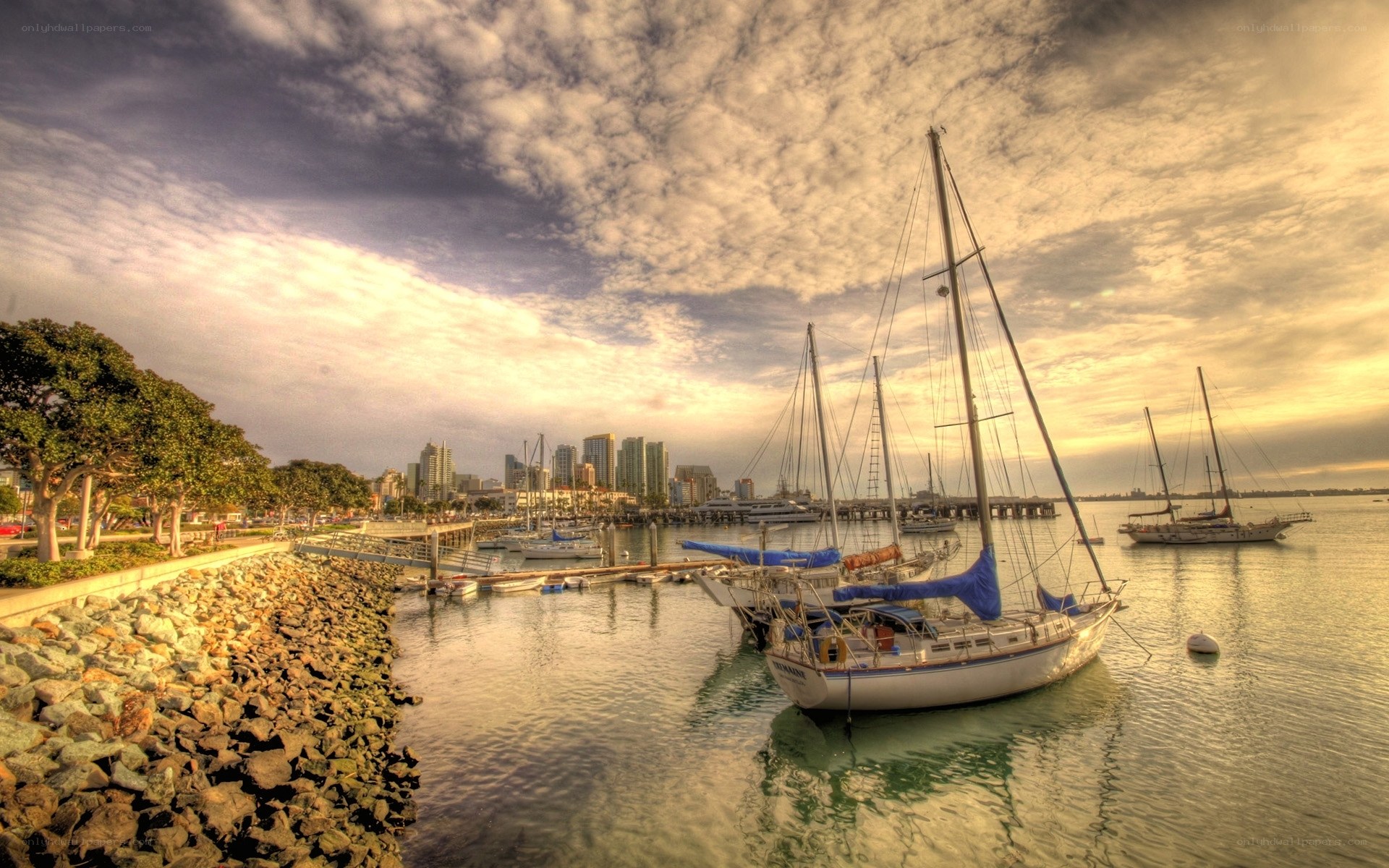 Sailboats at sunset in harbor
