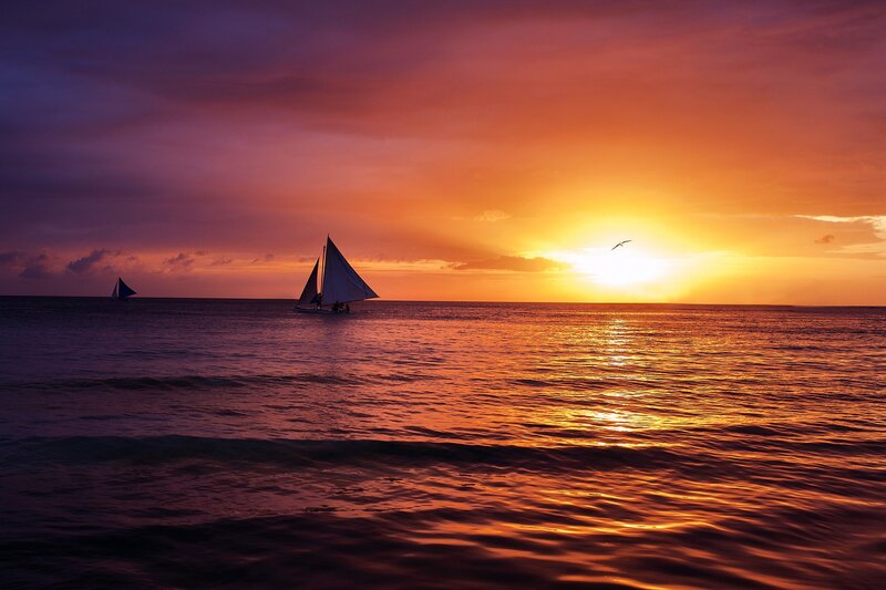 Sailboats at sunset on the ocean