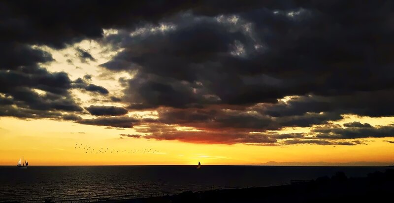 Sailboats at Sunset — Orange, Dramatic, Photograph, Birds