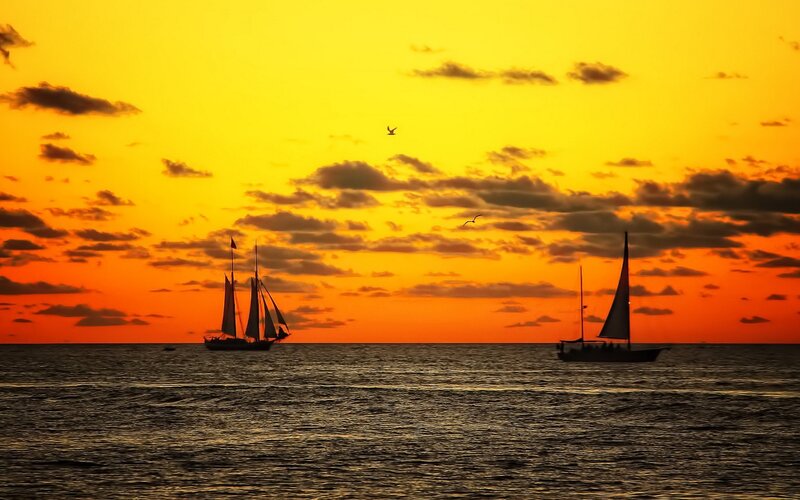 Sailboats at Sunset — Orange, Serene, Photograph, Birds