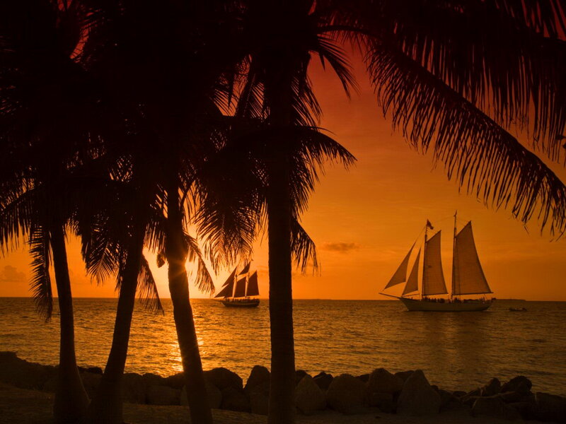 Sailboats at Sunset — Orange, Serene, Photograph, Palm Trees