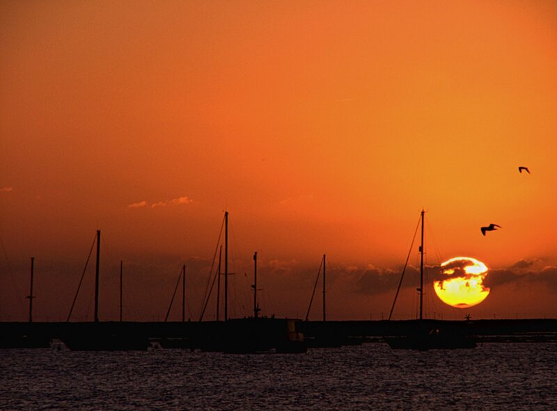 Sailboats at Sunset — Orange, Serene, Photograph, Sun, Birds