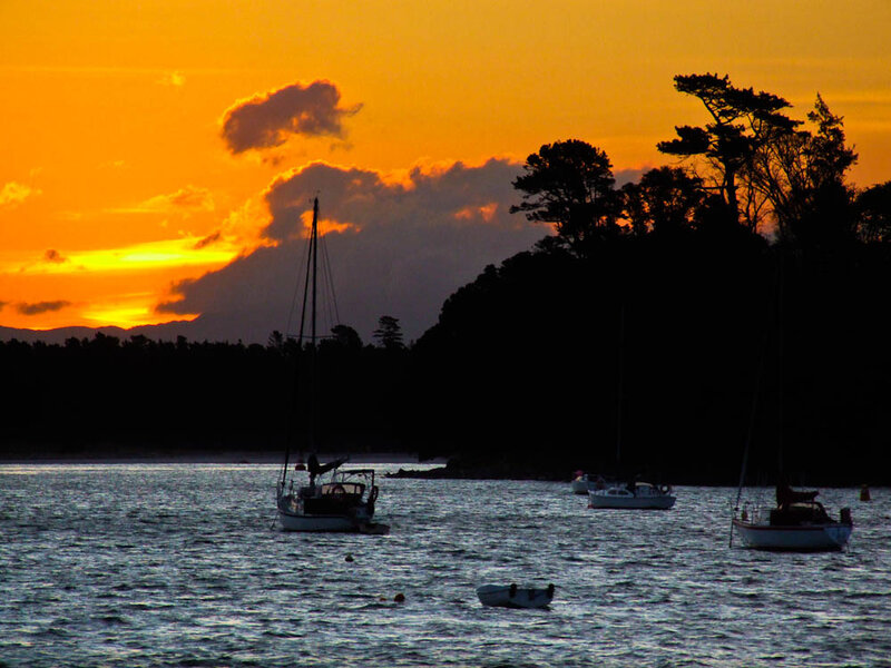 Sailboats at Sunset — Orange, Serene, Photograph, Trees