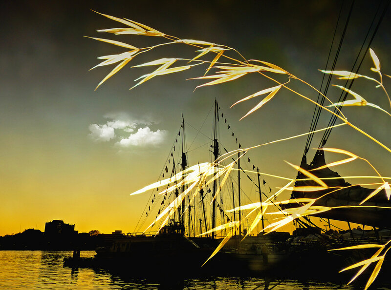 Sailboats at Sunset — Yellow, Dramatic