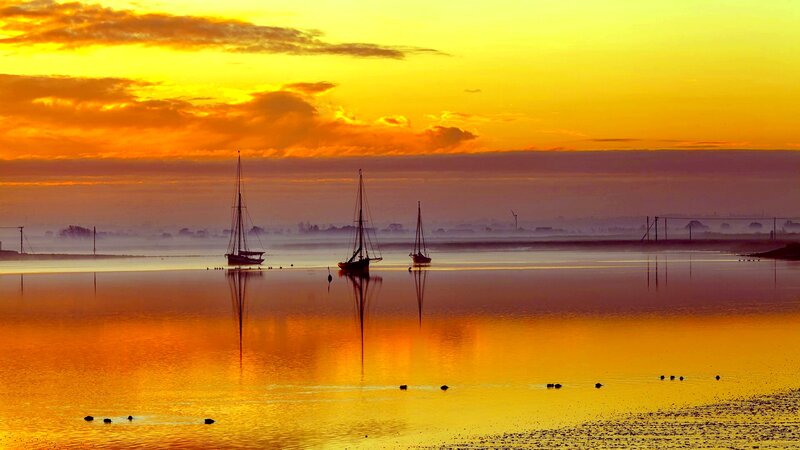 Sailboats at Sunset — Yellow, Serene