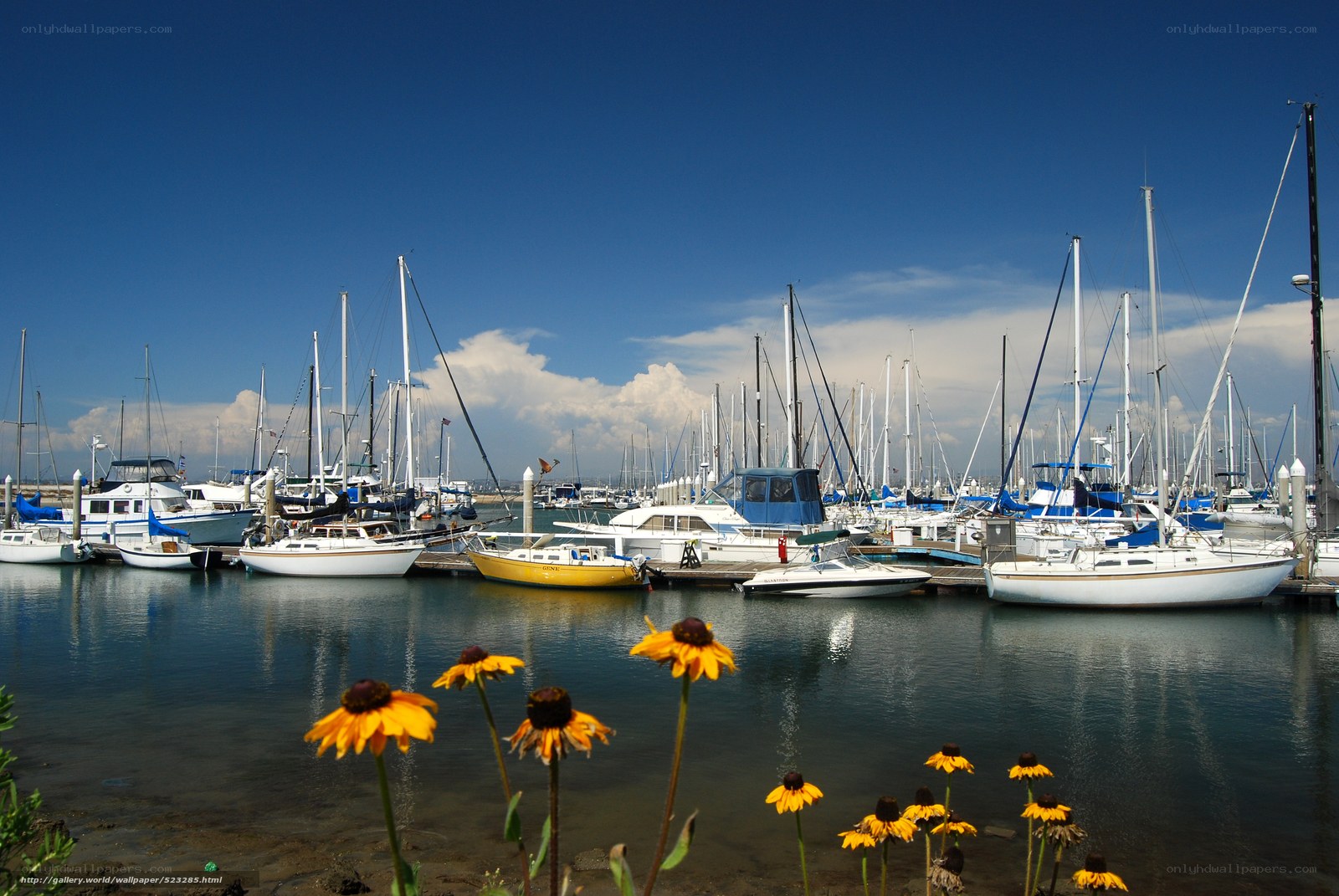 Sailboats docked at a marina
