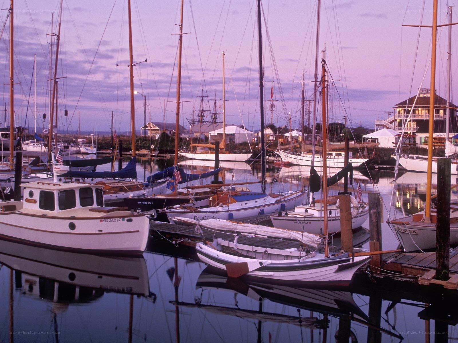 Sailboats docked at dusk