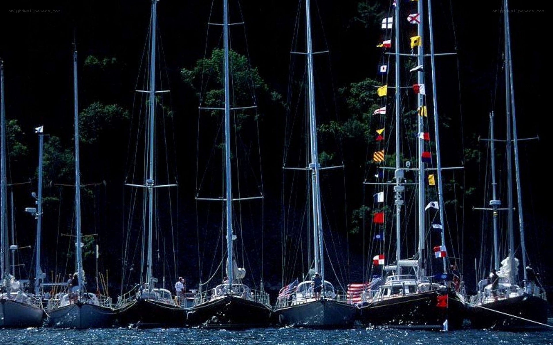 Sailboats docked at night