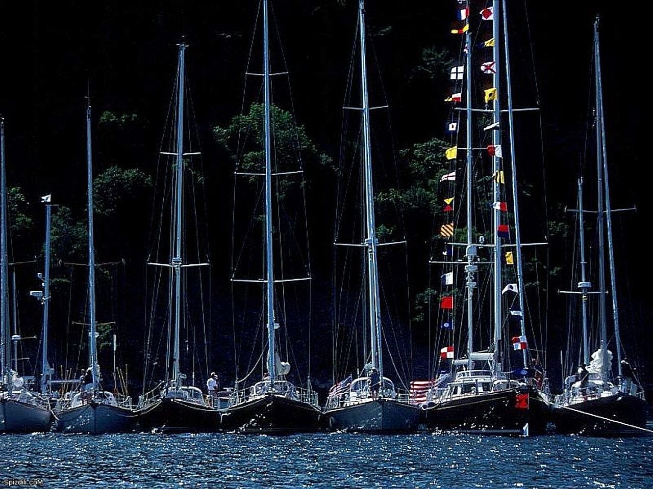 Sailboats docked at night