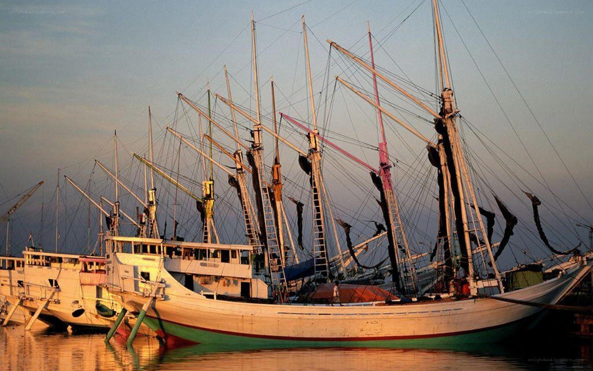 Sailboats docked at sunset