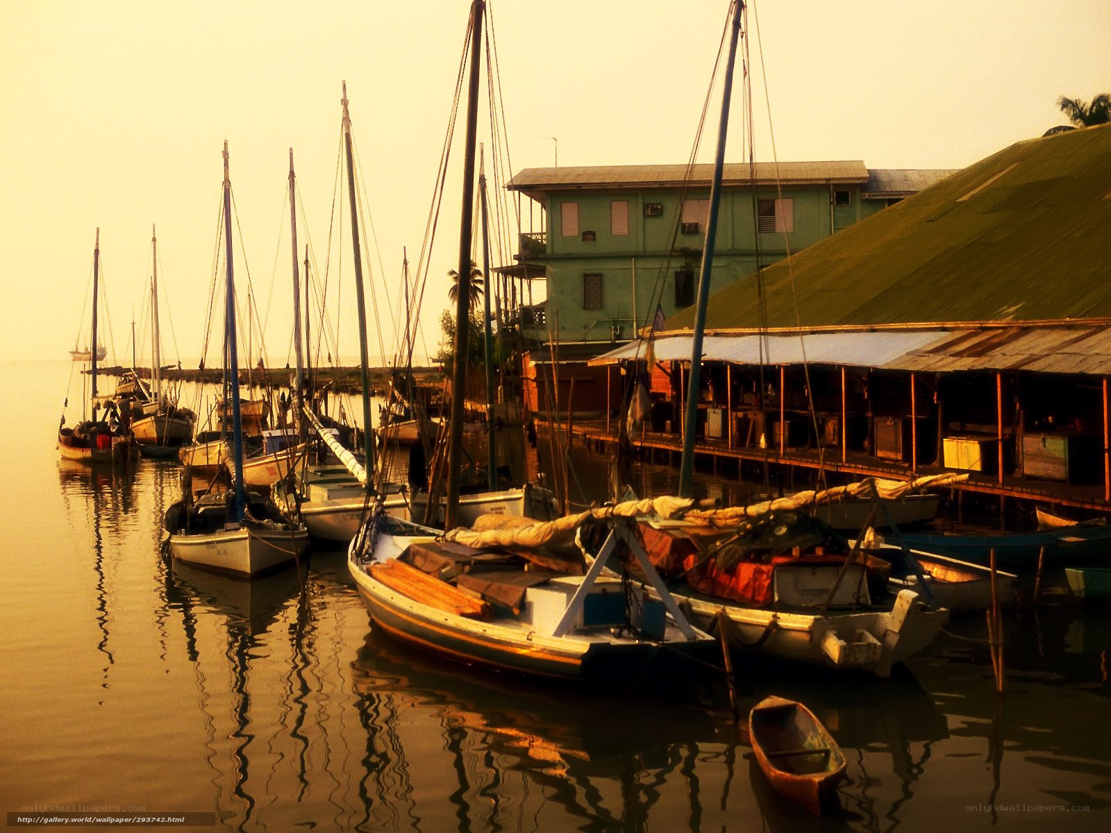 sailboats docked at sunset