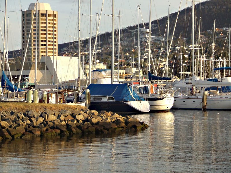 Sailboats docked in a harbor