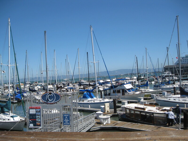 Sailboats docked in a marina
