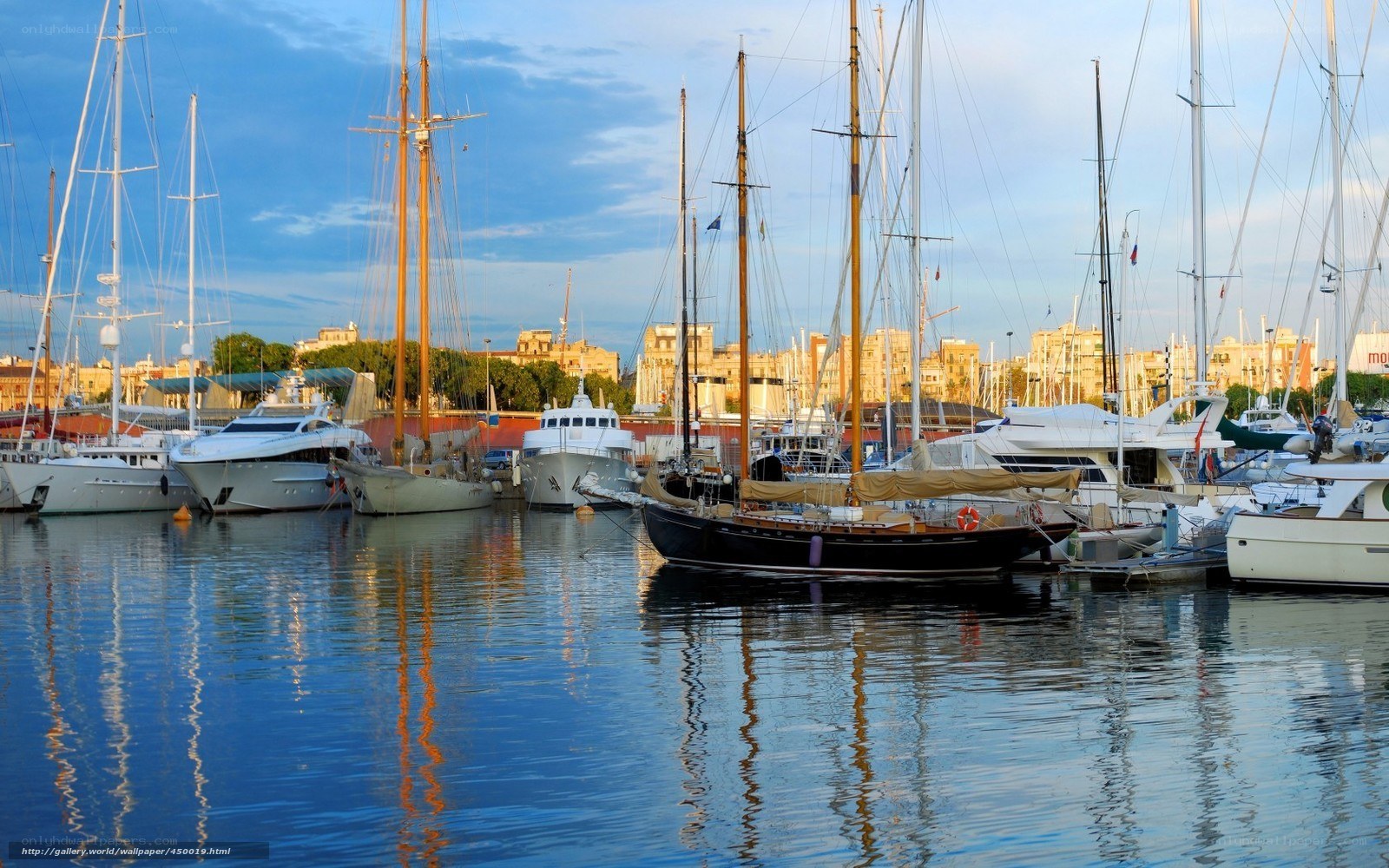 Sailboats docked in harbor
