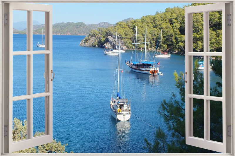 Sailboats in a Bay — Blue, Serene, Afternoon, Photograph, Trees