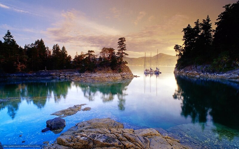 Sailboats in a calm bay at sunset