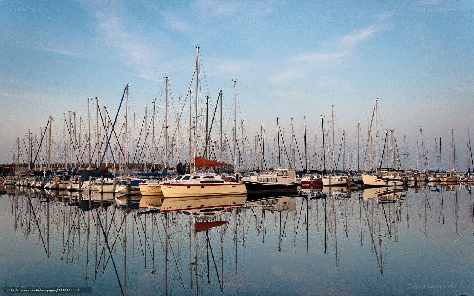 Sailboats in a calm marina
