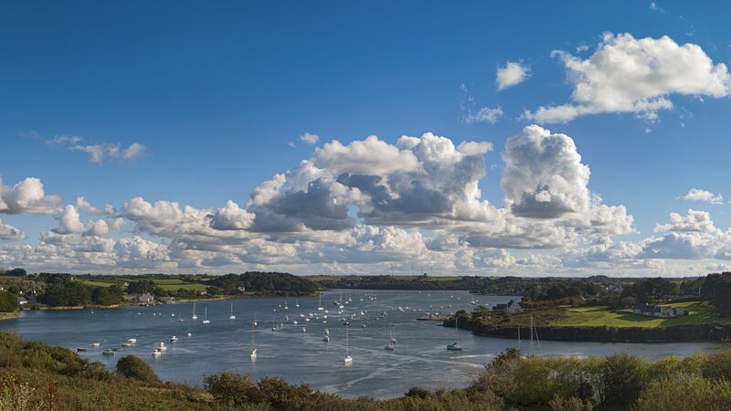 Sailboats in a coastal bay