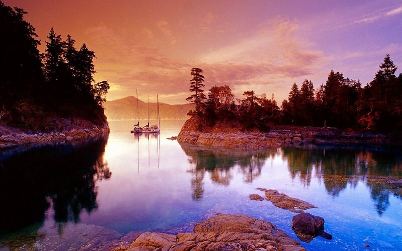 Sailboats in a Cove — Purple