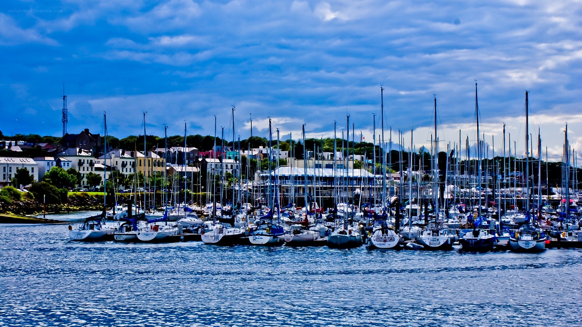 Sailboats in a harbor