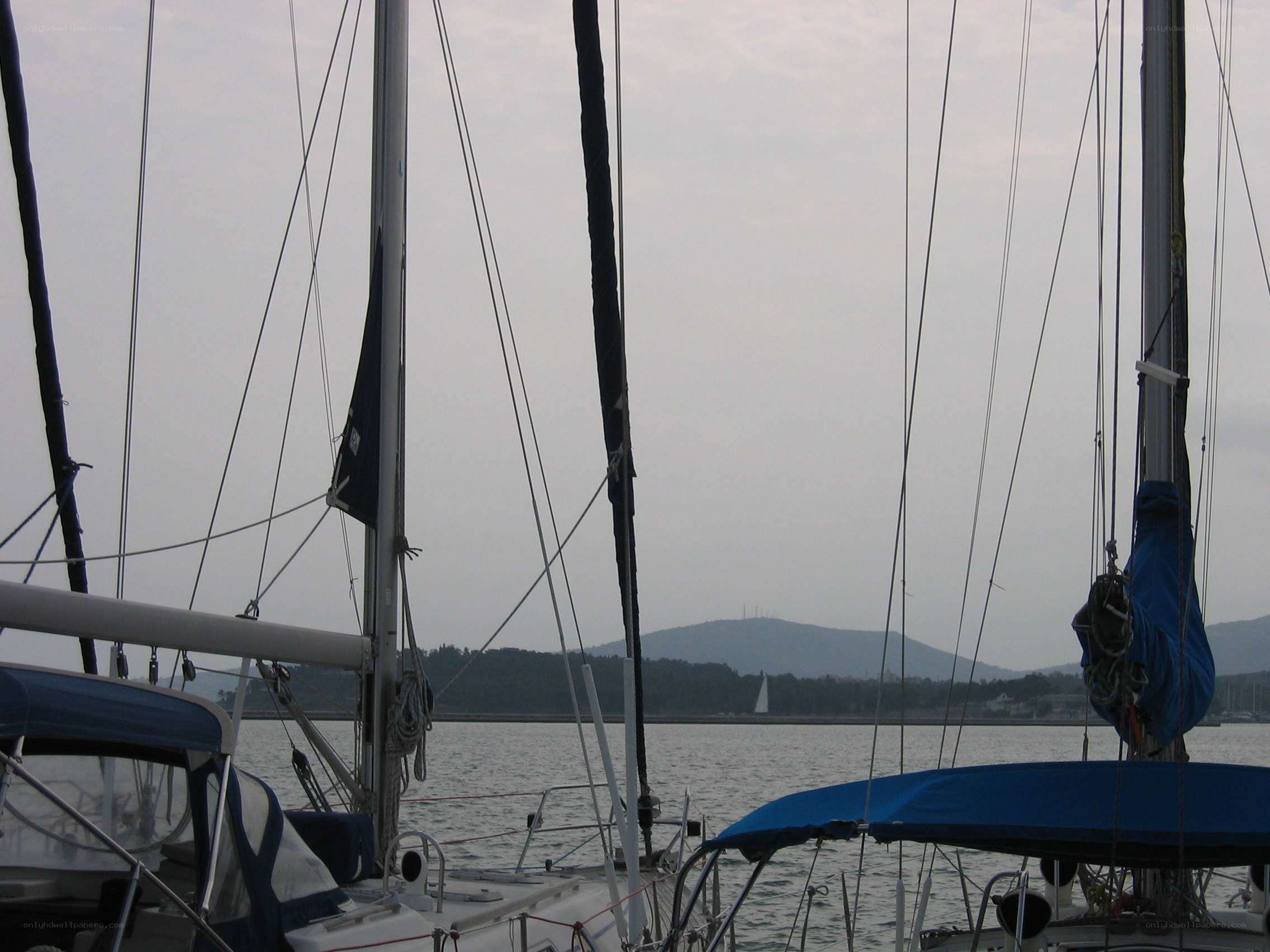 Sailboats in a harbor