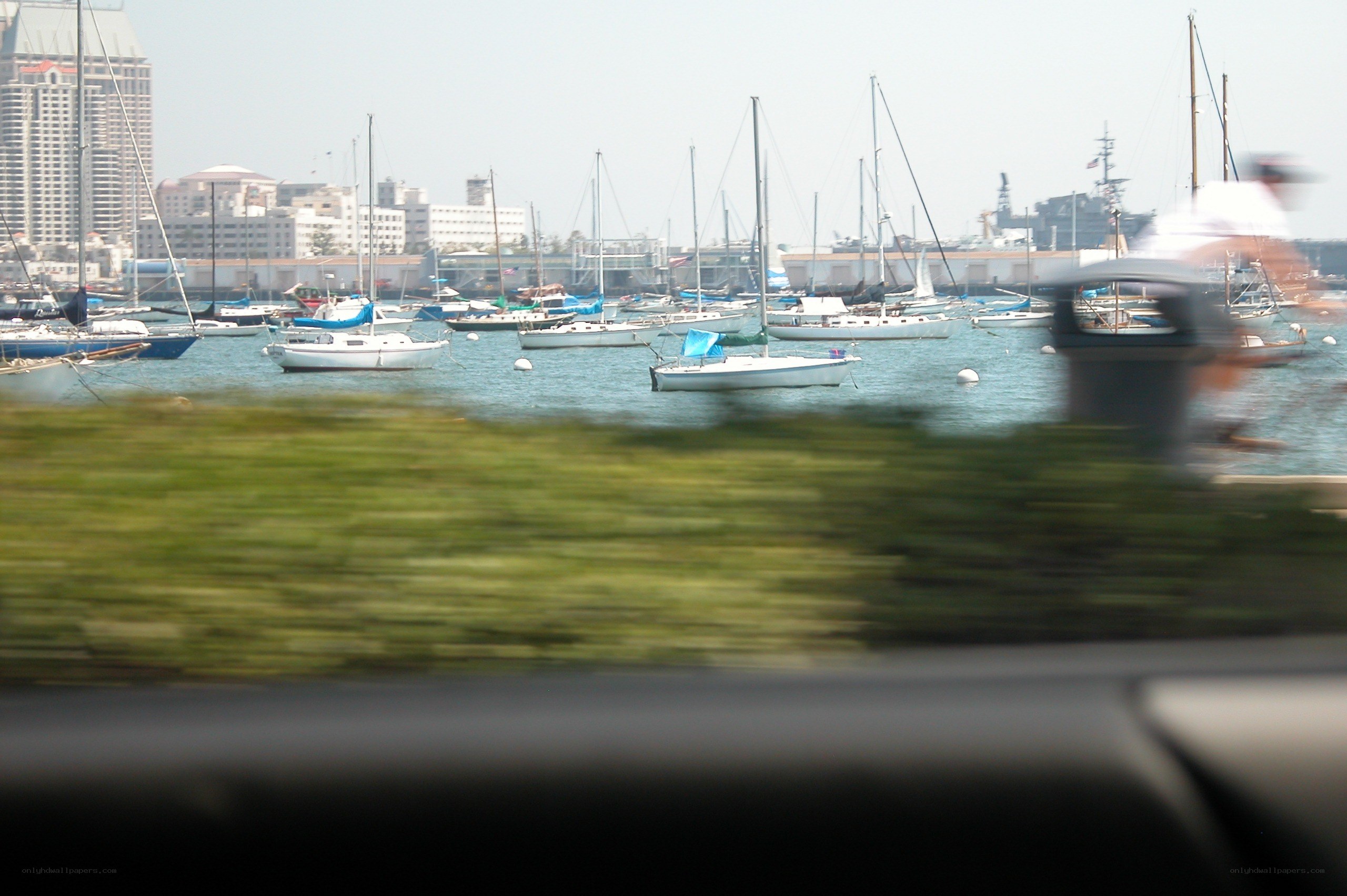 sailboats in a harbor